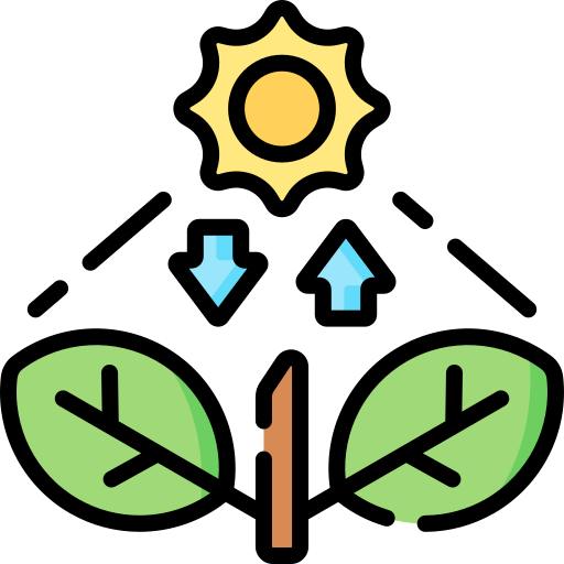 Photosynthesis Special Lineal color icon