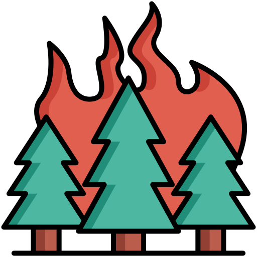 Wildfire Generic Outline Color icon