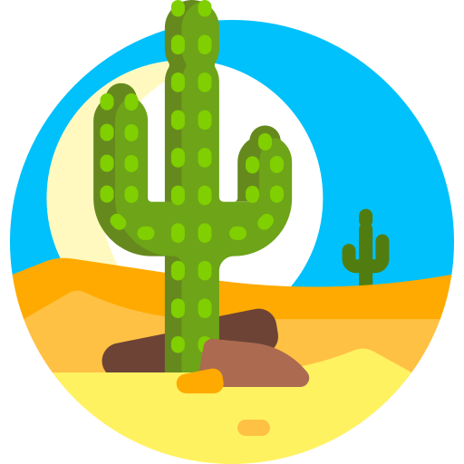 pustynia Detailed Flat Circular Flat ikona
