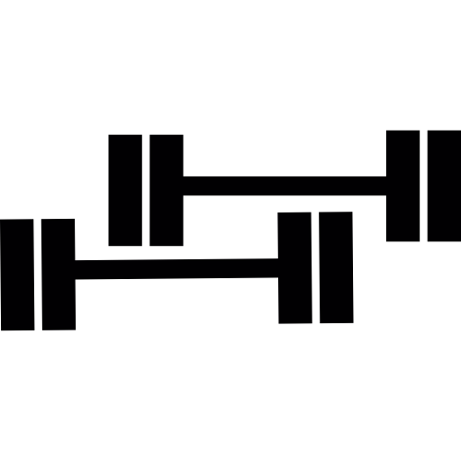 Two Dumbbells  icon