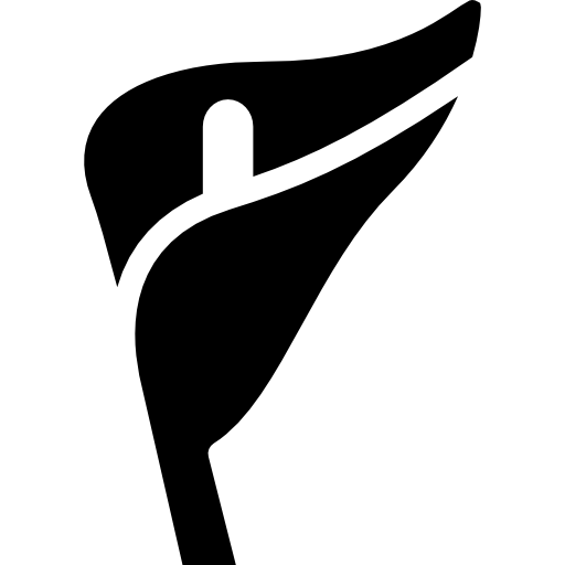 lirio  icono
