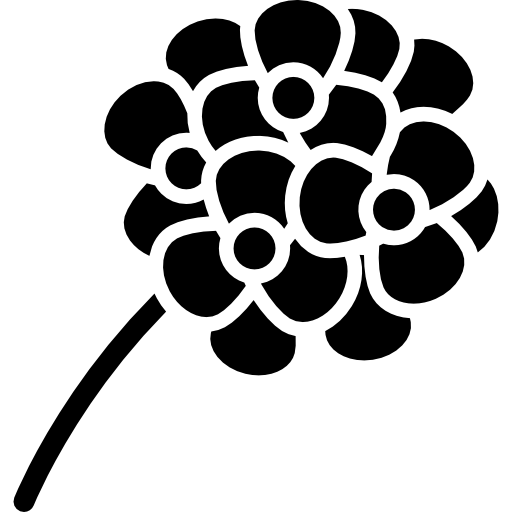 flor  icono