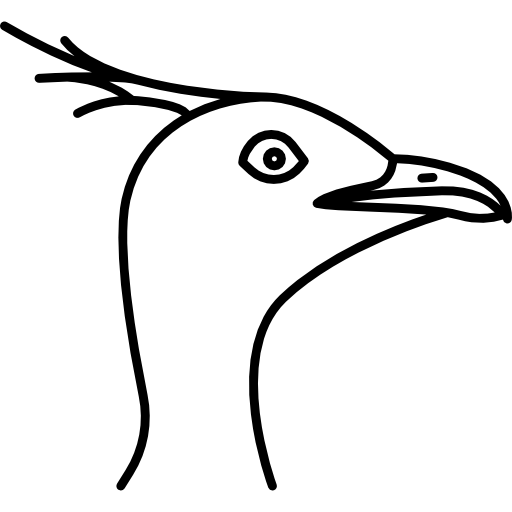 pássaro  Ícone