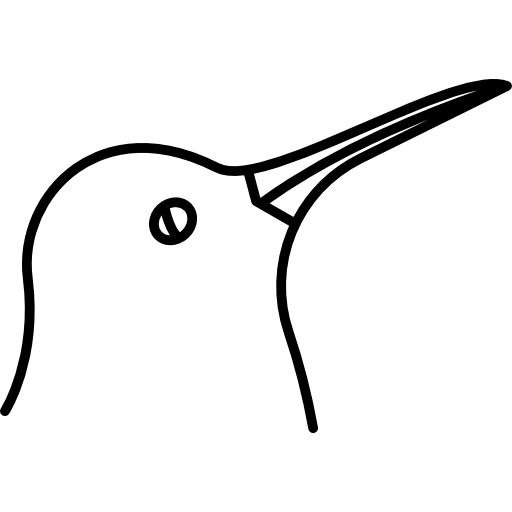 Bird  icon