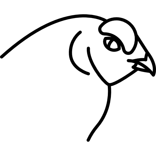 oiseau  Icône