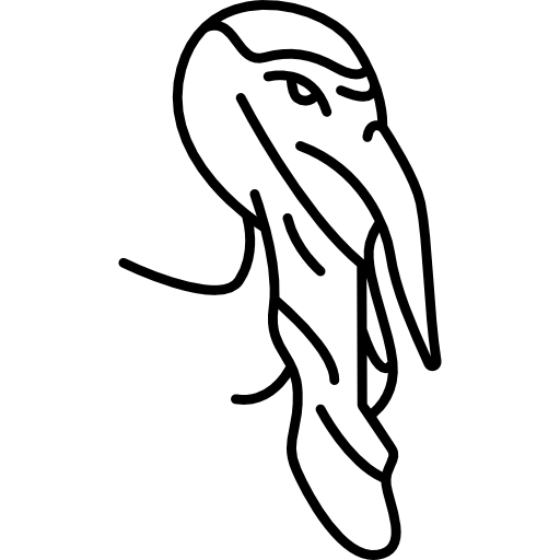 Bird  icon