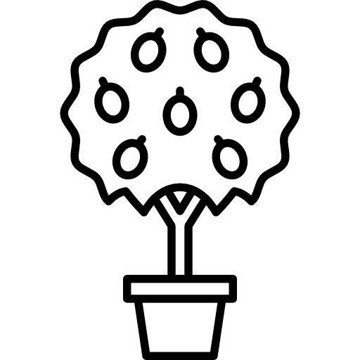 árbol  icono