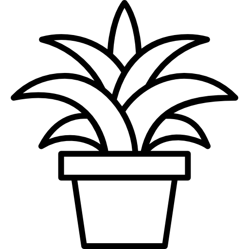 plante  Icône