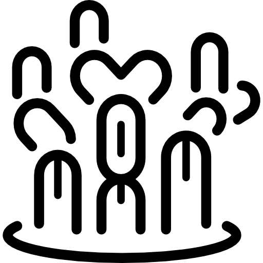 カクタス Special Lineal icon