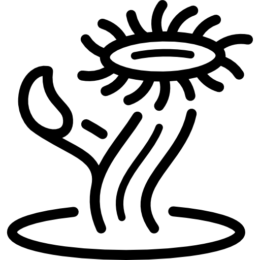 kaktus Special Lineal ikona