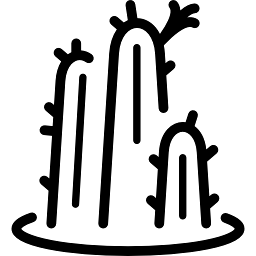 cactus Special Lineal Icône