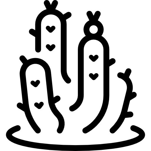 кактус Special Lineal иконка