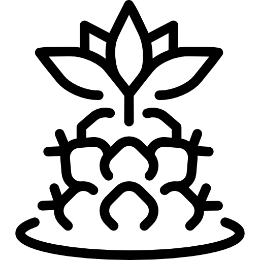 kaktus Special Lineal icon