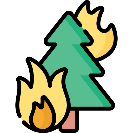 pożar Special Lineal color ikona