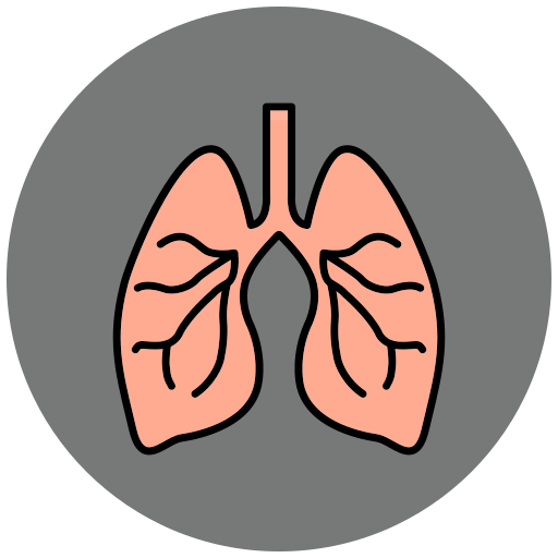 Lungs Generic Outline Color icon