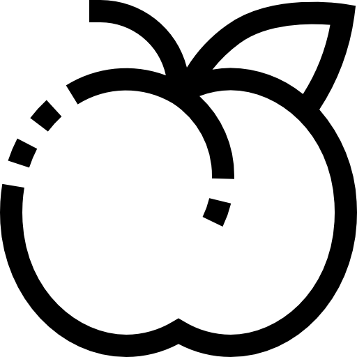 aprikose Pixelmeetup Lineal icon