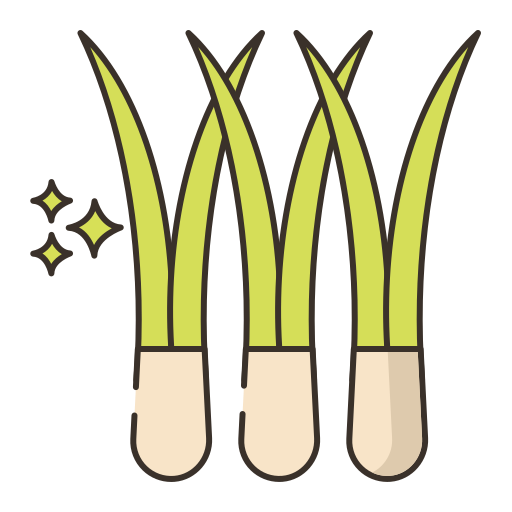 Chives Generic Outline Color icon