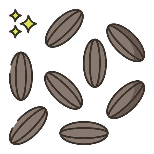 Cumin Generic Outline Color icon