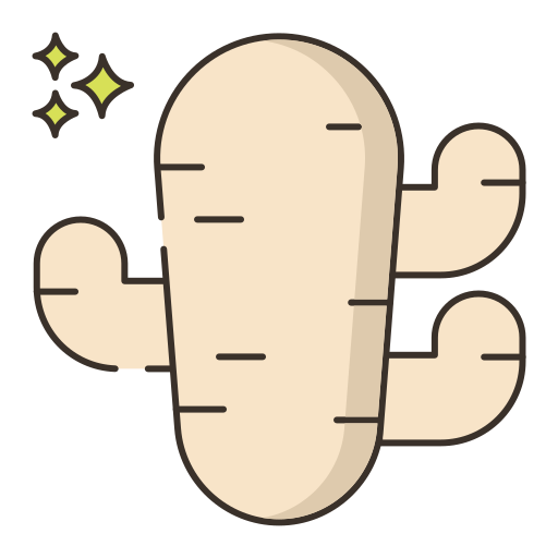 ginger Generic Outline Color icon