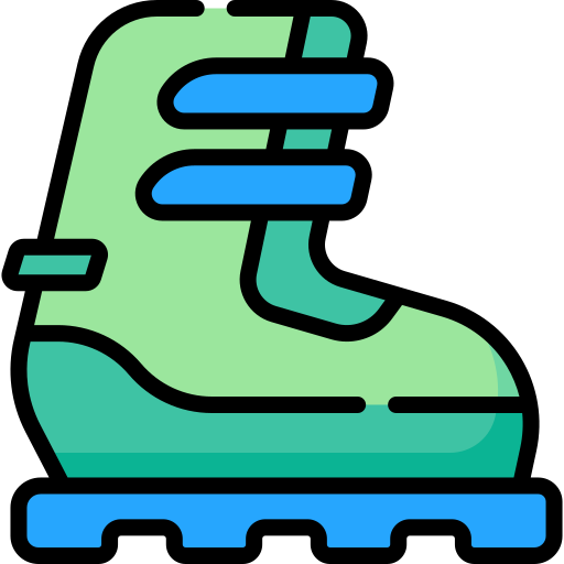 stiefel Special Lineal color icon