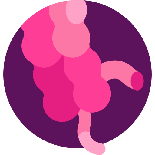 Appendix Detailed Flat Circular Flat icon