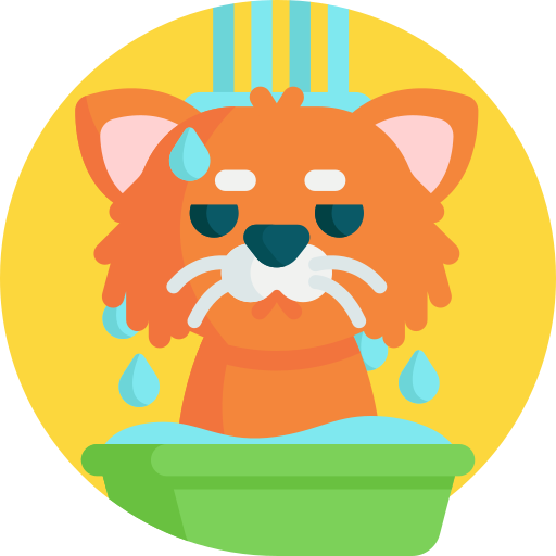 Cat bath Detailed Flat Circular Flat icon
