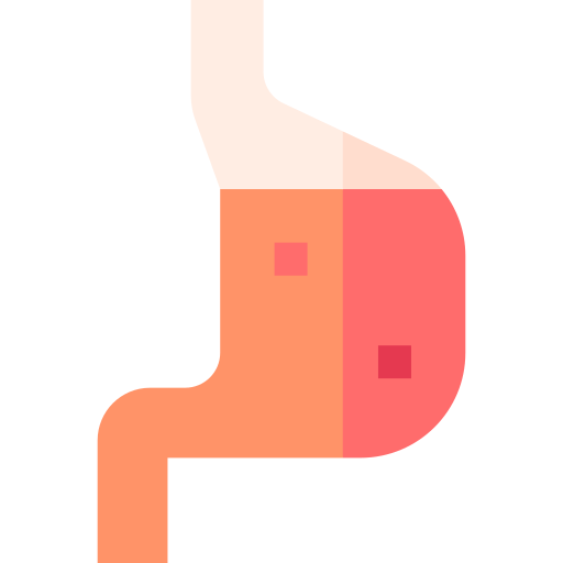 Żołądek Basic Straight Flat ikona