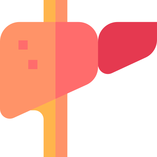 hígado Basic Straight Flat icono