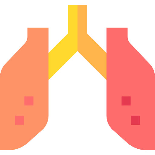 poumons Basic Straight Flat Icône