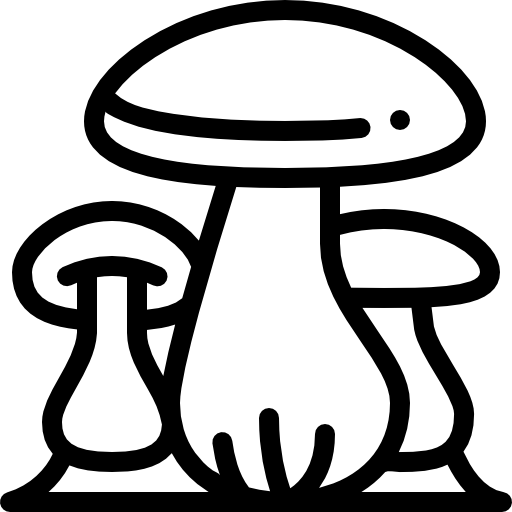 funghi Detailed Rounded Lineal icona