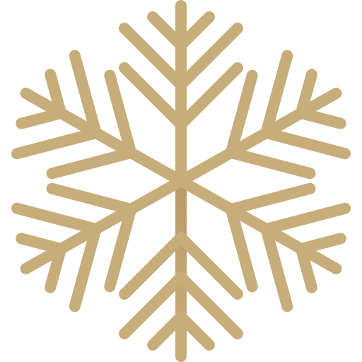 Snowflake Generic Gradient icon