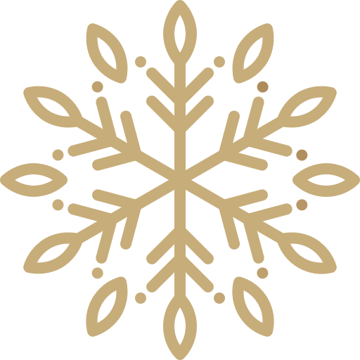 copo de nieve Generic Gradient icono