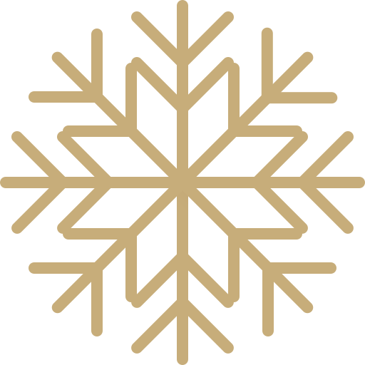 sneeuwvlok Generic Gradient icoon