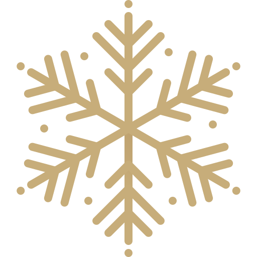 Snowflake Generic Gradient icon