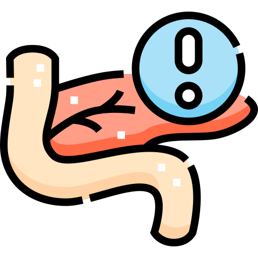 Pancreas Detailed Straight Lineal color icon