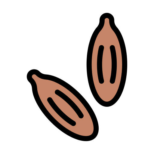 Cumin Generic Outline Color icon
