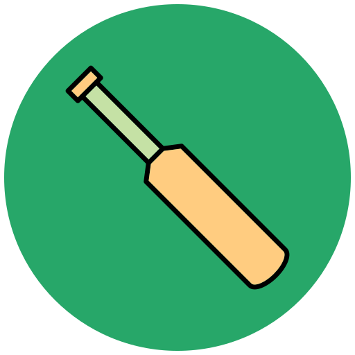 Cricket Generic Outline Color icon