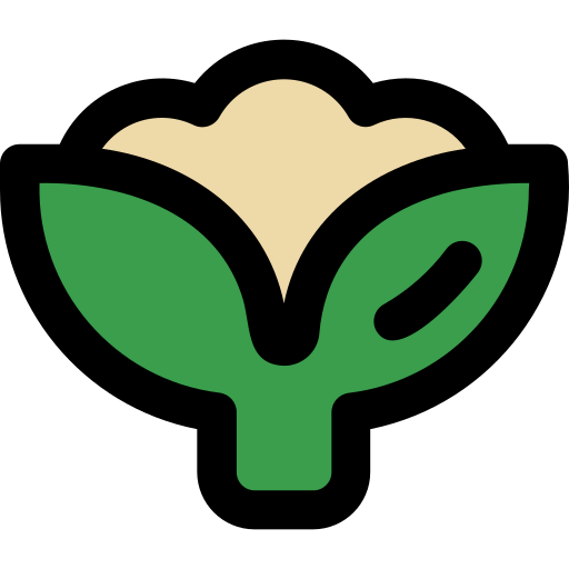 Cauliflower Generic color lineal-color icon