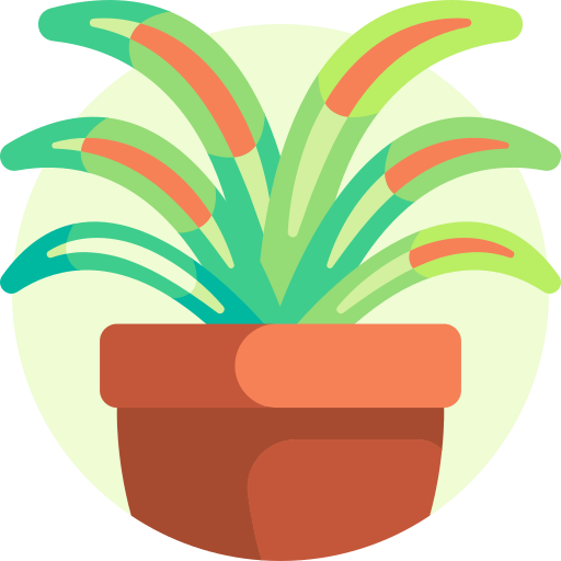 spinnenpflanze Detailed Flat Circular Flat icon