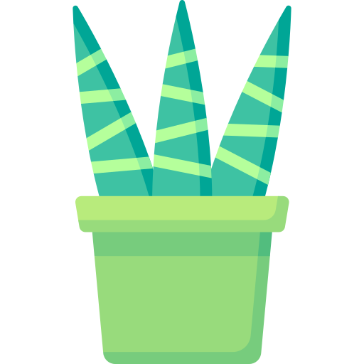 zebrapflanze Special Flat icon