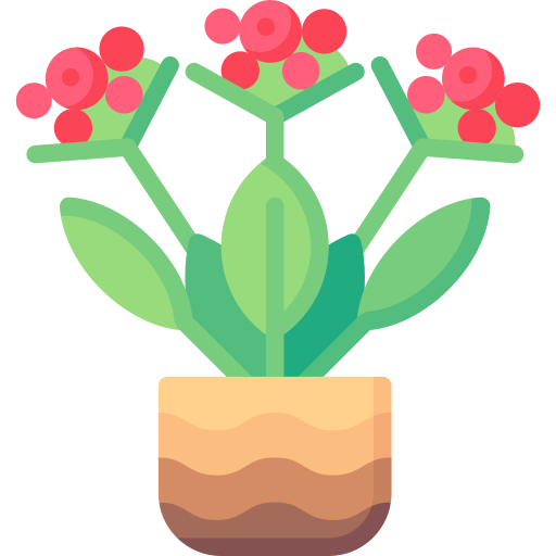 Kalanchoe Special Flat icon