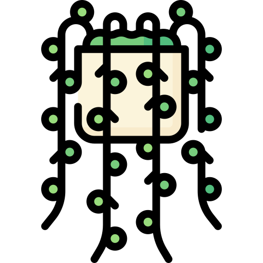 Strings of pearls Special Lineal color icon
