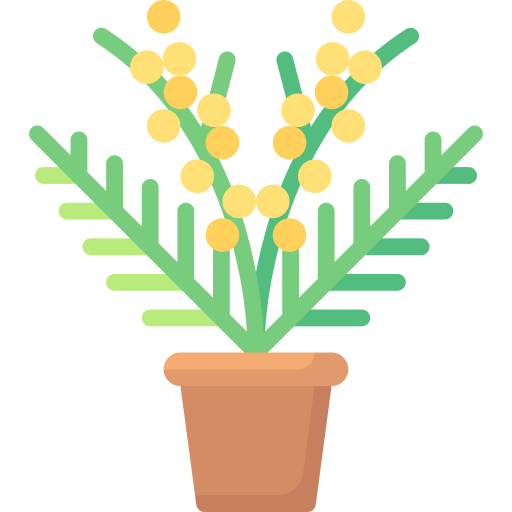 mimoza Special Flat ikona