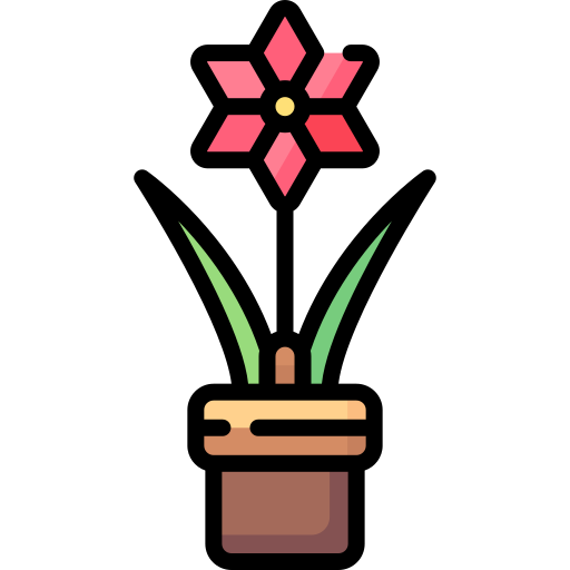 Amaryllis Special Lineal color icon