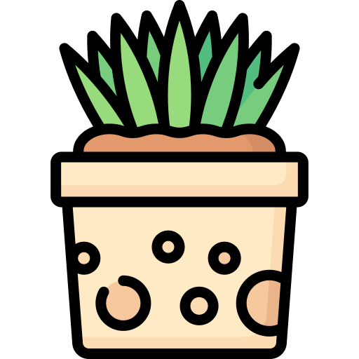 Succulent Special Lineal color icon
