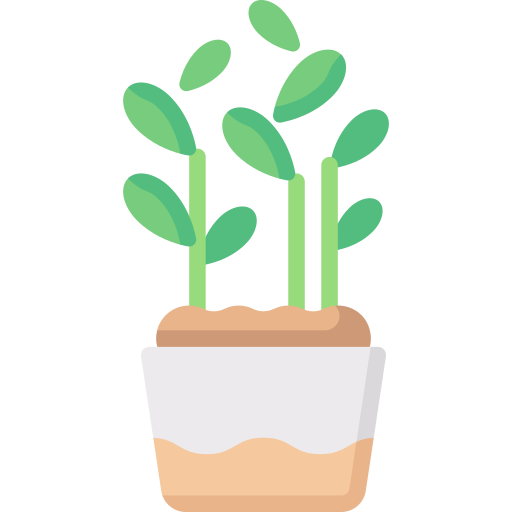 Jade plant Special Flat icon