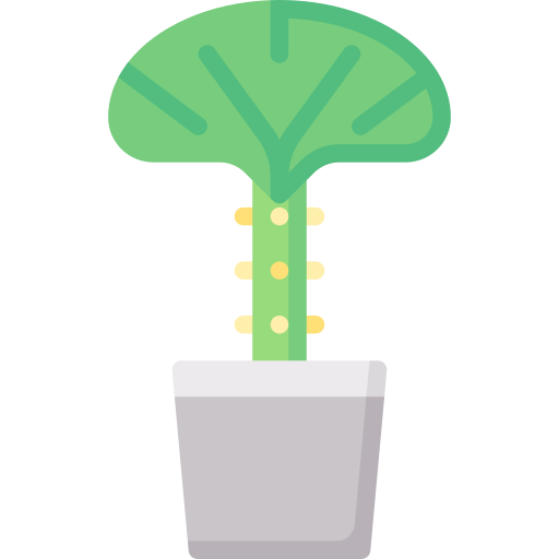 koraal cactus Special Flat icoon