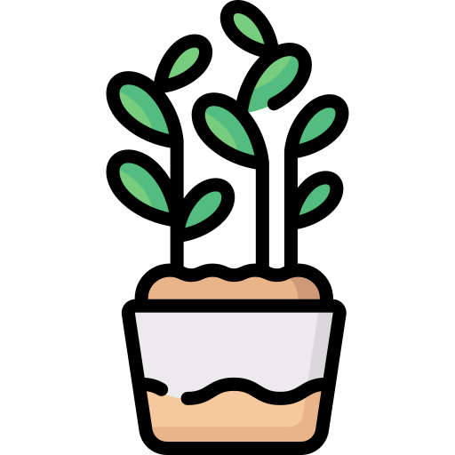 Jade plant Special Lineal color icon
