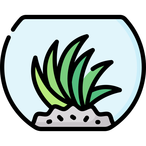 Air plant Special Lineal color icon