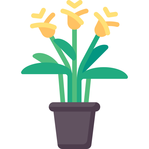 영원한 불꽃 식물 Special Flat icon